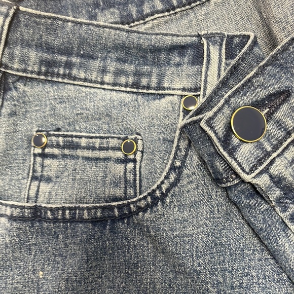 Vintage Dg2 by Diane Gilman Blue Jean Shorts, 18W - Picture 5 of 6